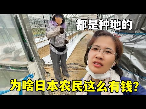 佩莱格里尼,德比捷报,欧冠席位再,世界杯竞猜,2026世界杯,竞猜技巧,投注策略,赛事分析
