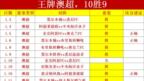 德约科维奇与穆雷并肩成为教练，共创澳网新篇章——《环球时报》报道